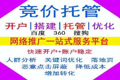 行业标杆：SEM推广代运营成功案例